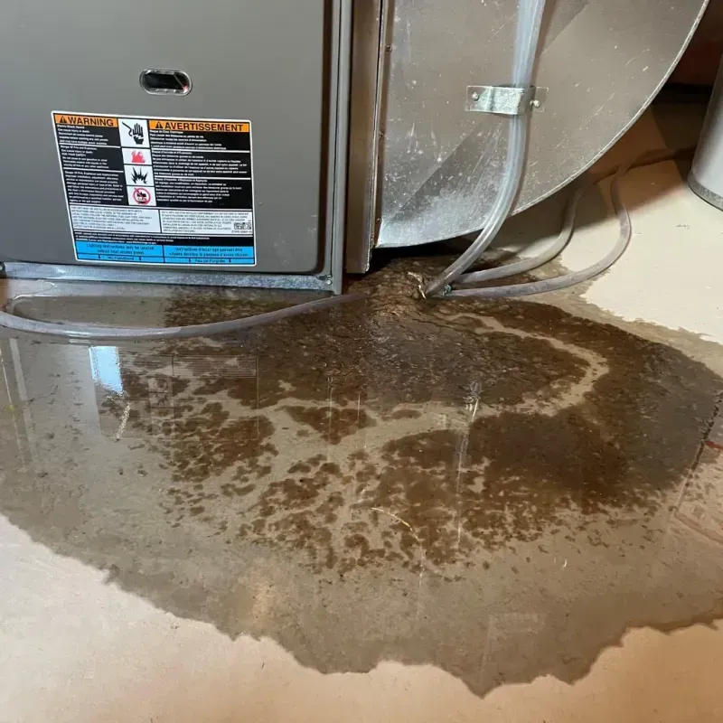 Appliance Leak Cleanup in Jenkins, KY